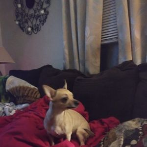 Meet your Posher, Deborah